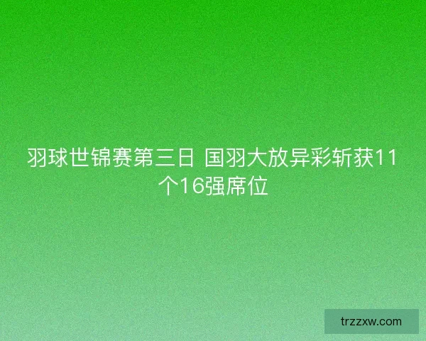 羽球世锦赛第三日 国羽大放异彩斩获11个16强席位
